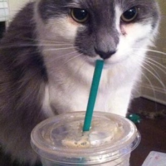 Meet your Posher, Julianna - Picture 1 of 1